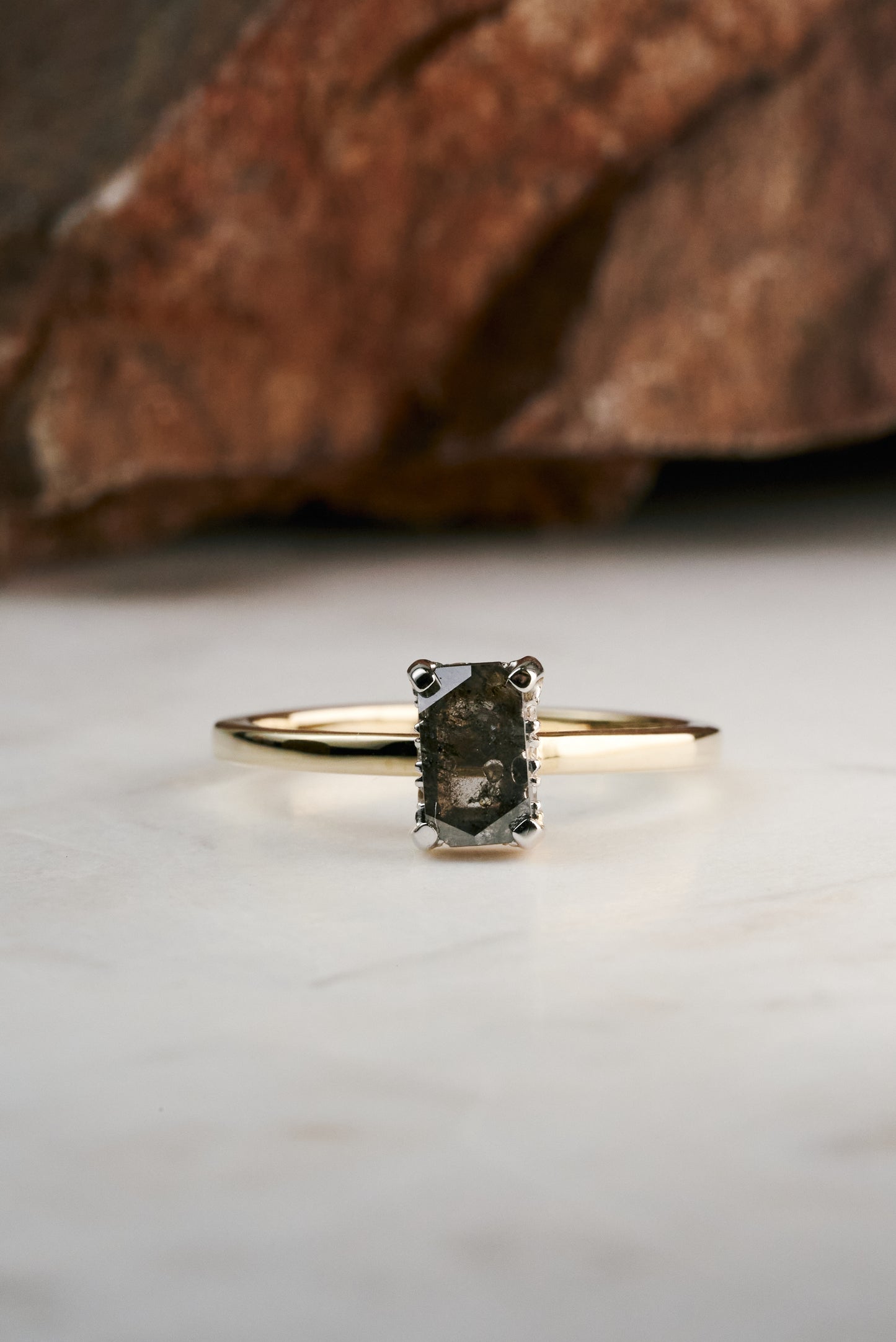 Salt & Pepper Radiant-cut Diamond with Hidden Halo