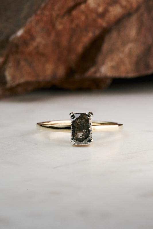 Salt & Pepper Radiant-cut Diamond with Hidden Halo