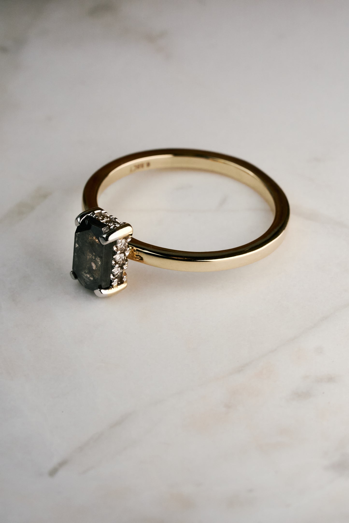 Salt & Pepper Radiant-cut Diamond with Hidden Halo